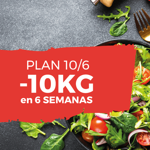 PLANO 10/6 | Método estruturado para perda de peso
